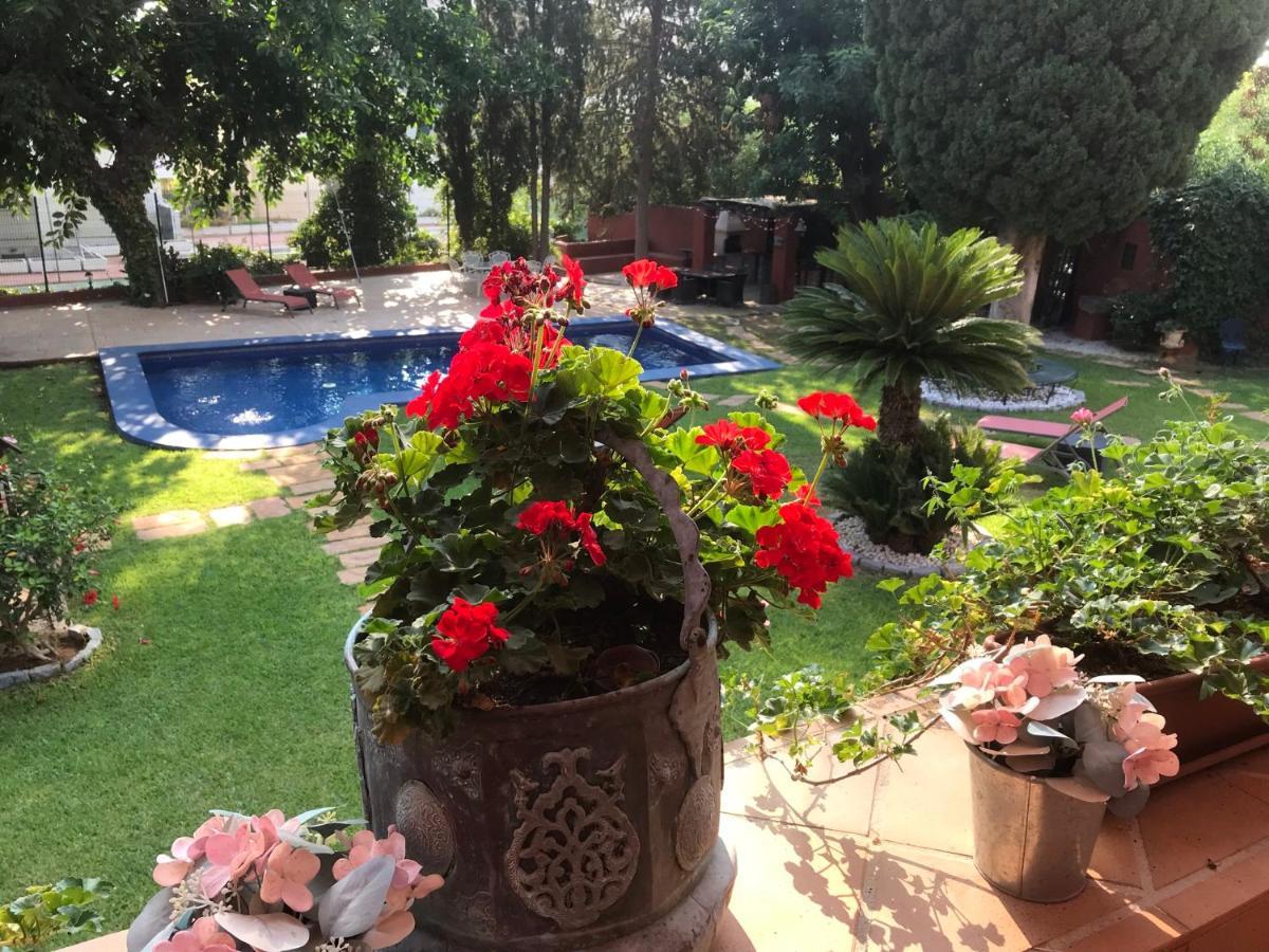 Frühstückspension Casa Paraiso Boutique Torremolinos